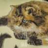 Cuscino Bizet arredo rettangolare con gattini